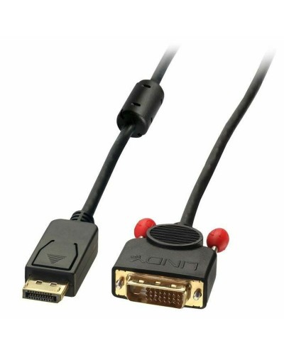 Lindy Adaptateur DisplayPort vers DVI 2m Noir - Câble Convertisseur Haute Qualité
