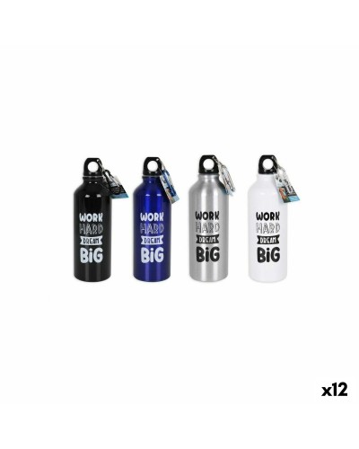 Botella Térmica de Aluminio Bewinner 500ml - Set de 12 unidades - Ideal para Deporte y Trabajo
