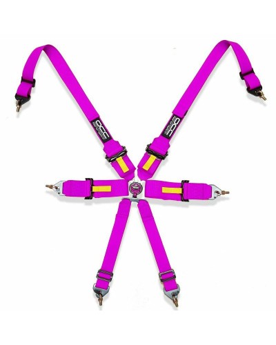 OCC Motorsport 6 Point Harness Pink - Rally/Track Day - Car Safety
