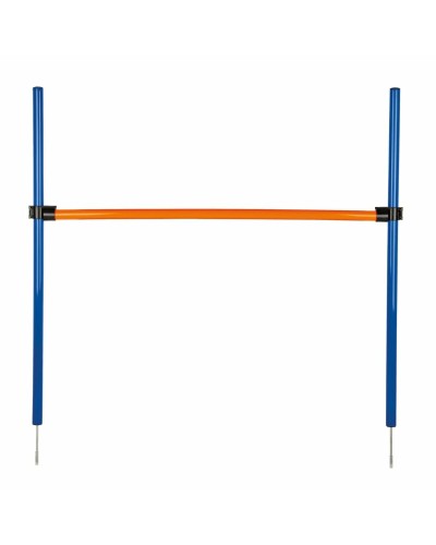 Giocattolo da addestramento Trixie