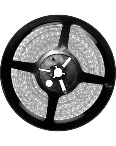 Lampadina LED Silver Electronics 221030