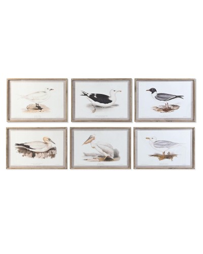 Quadro DKD Home Decor 70 x 2,5 x 50 cm Tradizionale Uccelli (6 Pezzi)