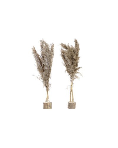 Planta Decorativa DKD Home Decor PVC Plumas Natural 35 x 25 x 55 cm (2 Unidades)