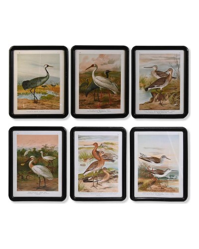 Cuadro DKD Home Decor Cristal Madera MDF Pájaros (40 x 50 x 1,8 cm) (6 Unidades)