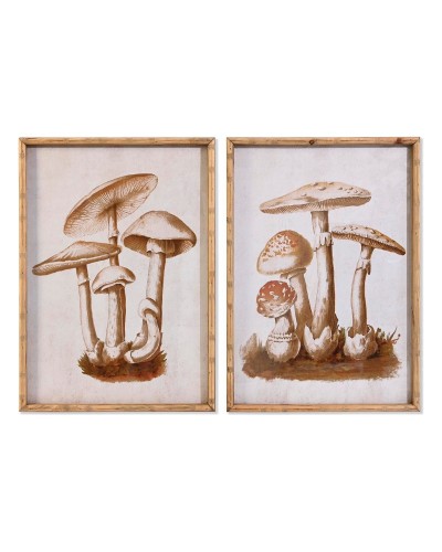Quadro DKD Home Decor Cristallo 50 x 70 x 2,8 cm 50 x 2,8 x 70 cm Funghi (2 Unità)