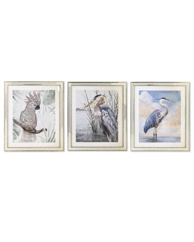 Cuadro DKD Home Decor 40 x 1,6 x 60 cm Pájaros Mediterráneo (3 Piezas)
