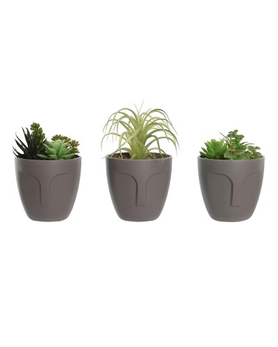 Decorative Plant DKD Home Decor Grey Beige Polyethylene Green polypropylene (11 x 11 x 15 cm) (3 Units)