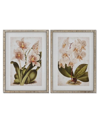 Bild Home ESPRIT Tropical Orchidee 50 x 2,5 x 70 cm (2 Stück)