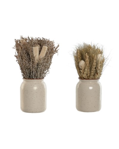 Plante décorative Home ESPRIT Fleur 13 x 13 x 25 cm (2 Unités) (12 Unités)