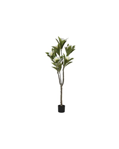 Albero Home ESPRIT Polietilene 80 x 80 x 150 cm