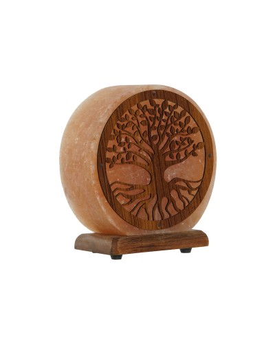 Lampe de bureau Home ESPRIT Marron Rose 15 W 220 V