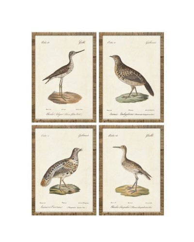 Bild Home ESPRIT Beige Vögel Cottage 40 x 2,5 x 50 cm (4 Stück)