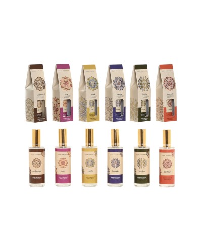 Désodorisant Home ESPRIT 100 ml (6 Unités)