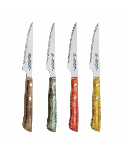 Coltelli per Carne San Ignacio Evergreen BGEU-6076 | 4 Pezzi | Acciaio Inossidabile Multicolore