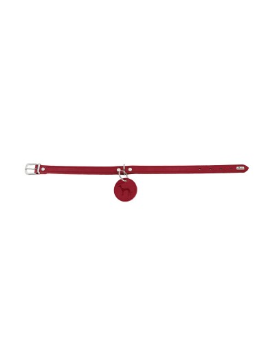 Collar para Perros Hunter Aalborg Rojo Grande 45-55 cm
