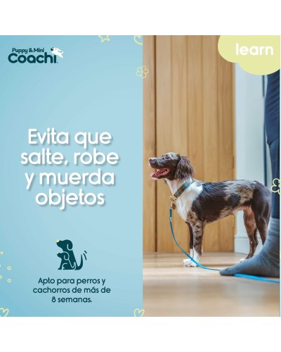 Imbracatura per Cani Coachi