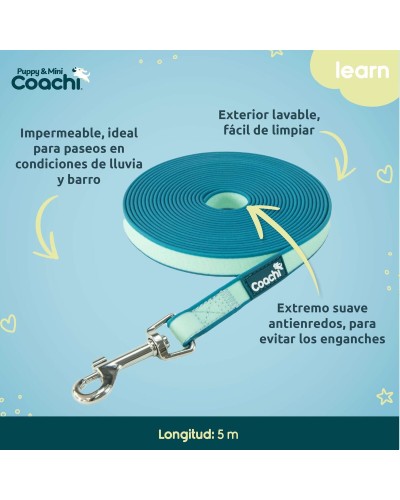 Harnais pour Chien Coachi