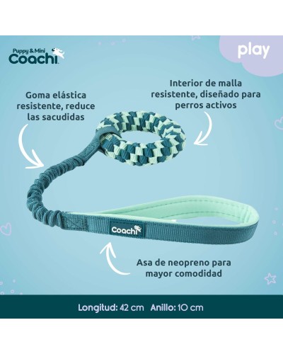 Arnés para Perro Coachi