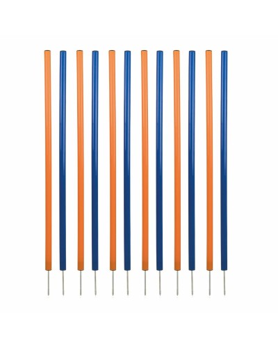 Giocattolo da addestramento Trixie