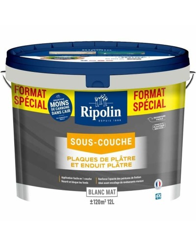 Pittura Ripolin