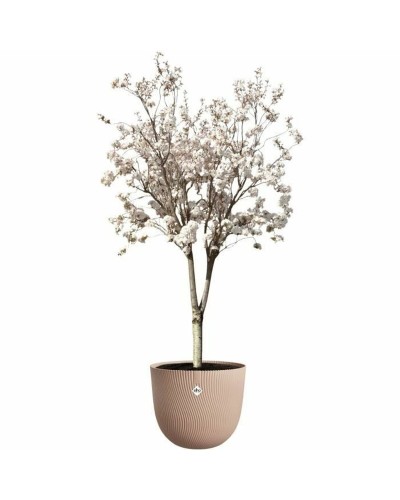 Plant pot Elho