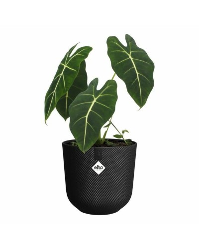 Plant pot Elho