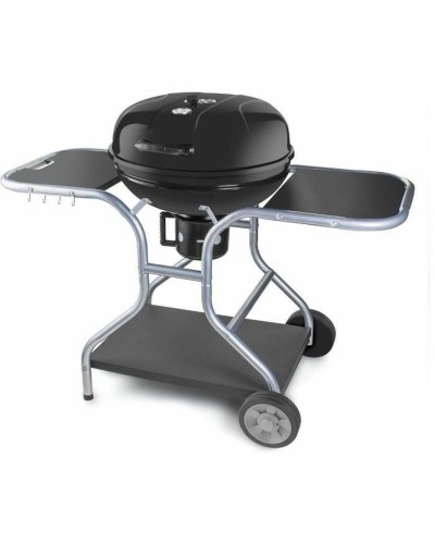 Barbecue Portatile Fieldmann FZG 1014 Metallo Acciaio