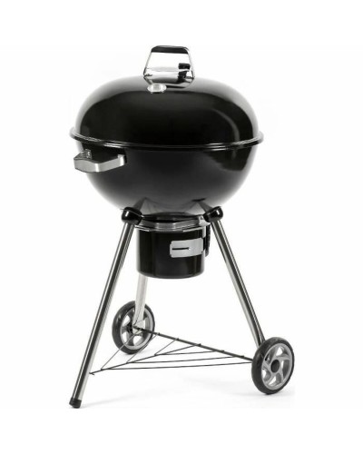 Barbecue Portable Fieldmann FZG 1016 Métal Acier