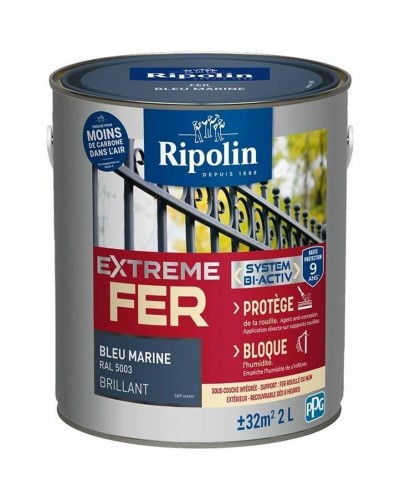 Primer Paint Ripolin