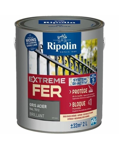 Lack Ripolin Grau Brillant