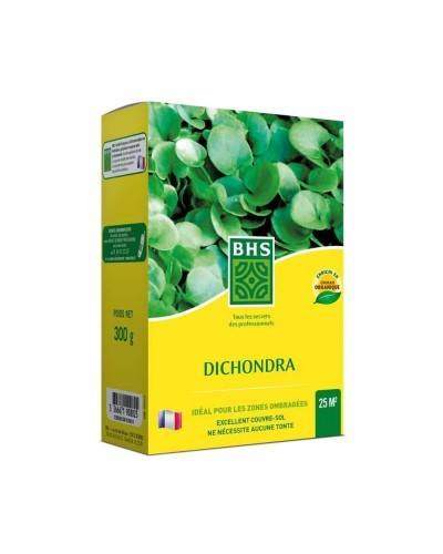 Siemenet BHS Dichondra