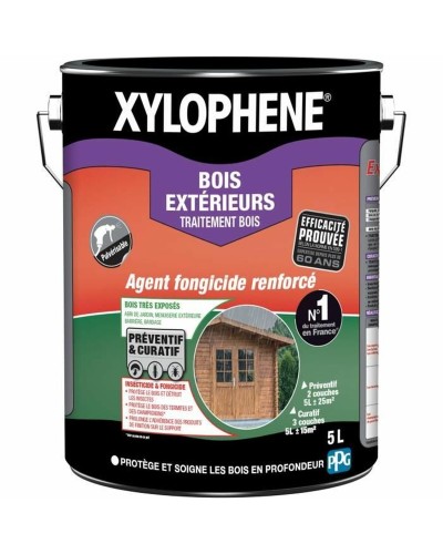 Pohjamaali Xylophene Valkoinen 5 L