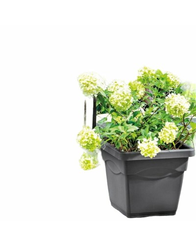 Vaso Deroma Quadrato Antracite Iniettato Ø 38 cm