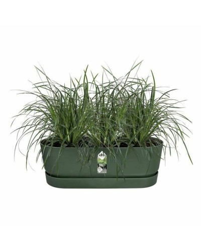 Vaso Elho Verde 21,2 x 52 x 19,4 cm