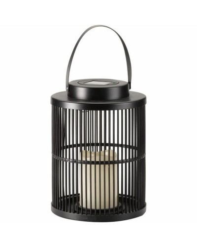 Lampe solaire Smart Garden Noir