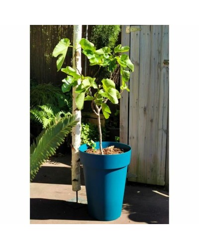 Vaso Riss 53 cm Azzurro Plastica