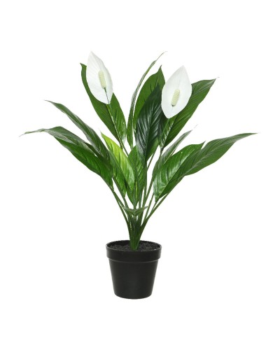 Dekorativ växt Mica Decorations Espatifilo PVC