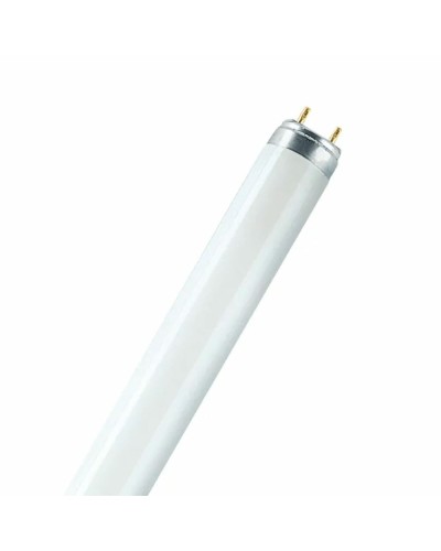 Tubo fluorescente Osram 18 W T8 1300 lm (6500 K)