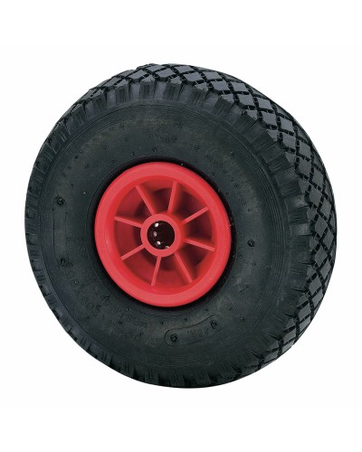 Wheel with tyre Ruedas Alex