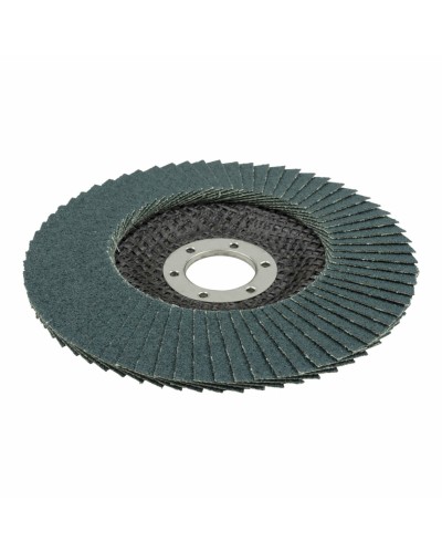 disque abrasif Wolfcraft