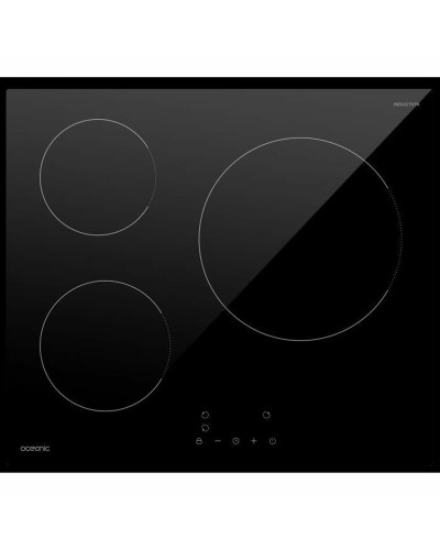 Induction Hot Plate Oceanic