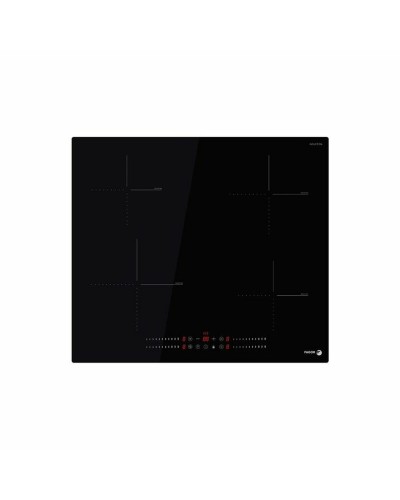 Induction Hot Plate Fagor