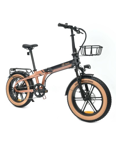 Elektrisches Fahrrad Youin BK1650 DALLAS Schwarz Kaffee 250 W 20"