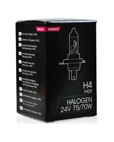 Light bulb M-Tech Z907 24v 70W 75W H4