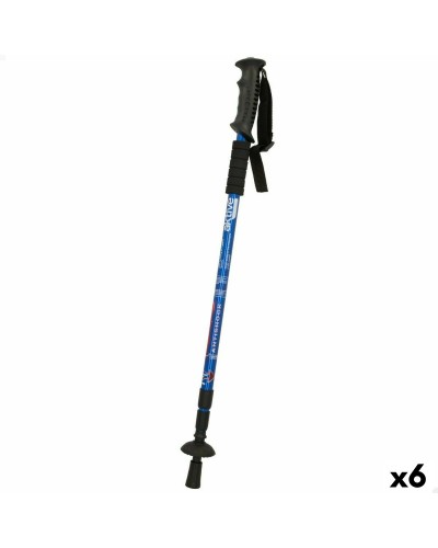 Bâton Trekking Aktive (6 Unités)