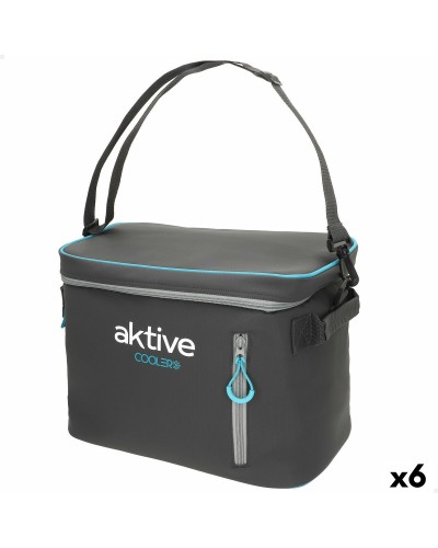 Glacière Aktive 18 L 34 x 26 x 21 cm Noir (6 Unités)
