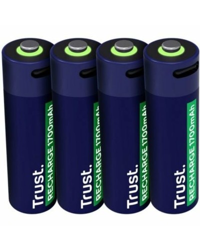 Batteries Trust 25631