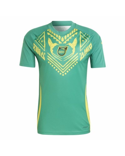Fotbollströja Adidas Jamaica 2024 Pre Match Grön