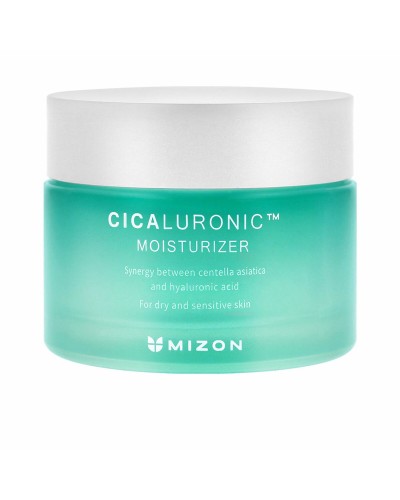Ansiktskräm Mizon Cicaluronic 120 ml