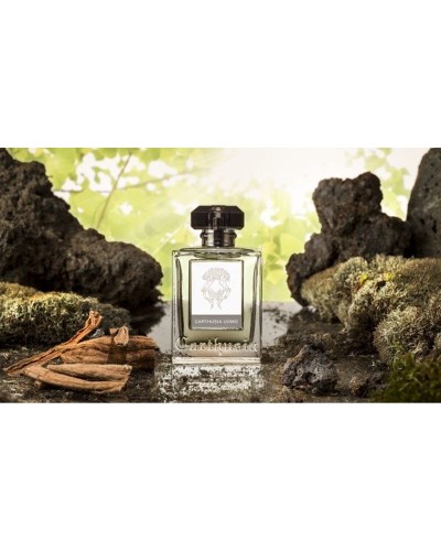 Herrenparfüm Carthusia CARTHUSIA UOMO 100 ml